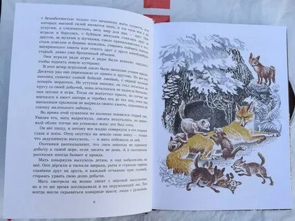 Рассказы о животных читать сетон