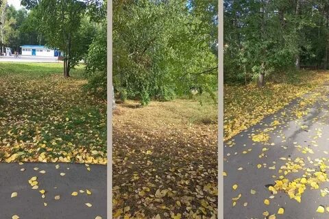 На воздухе желтеет