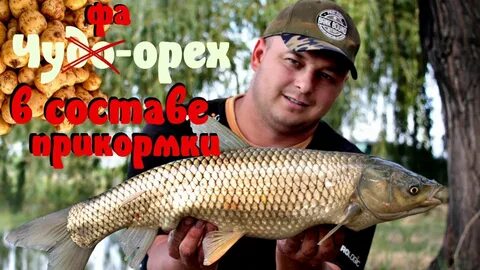 Приманка амуру