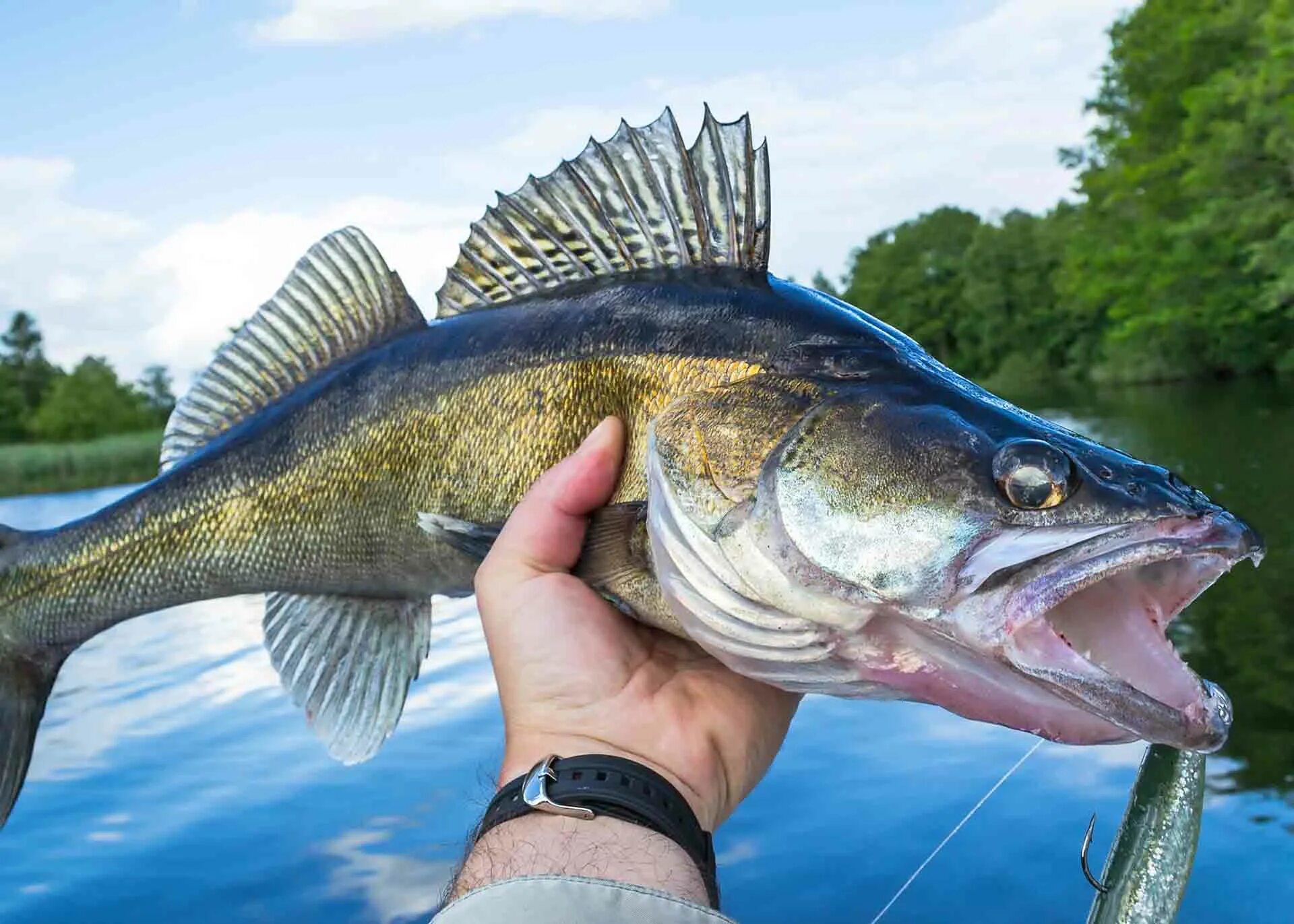 National fishing