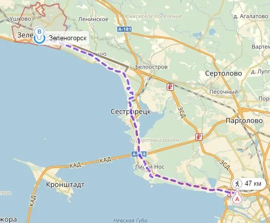 Сестрорецк как добраться из санкт петербурга. Велодорожка сестрорецк зеленогорск. велодорожка лахта зеленогорск. велосипедная дорожка от сестрорецка до зеленогорска. велодорожка вдоль финского залива.