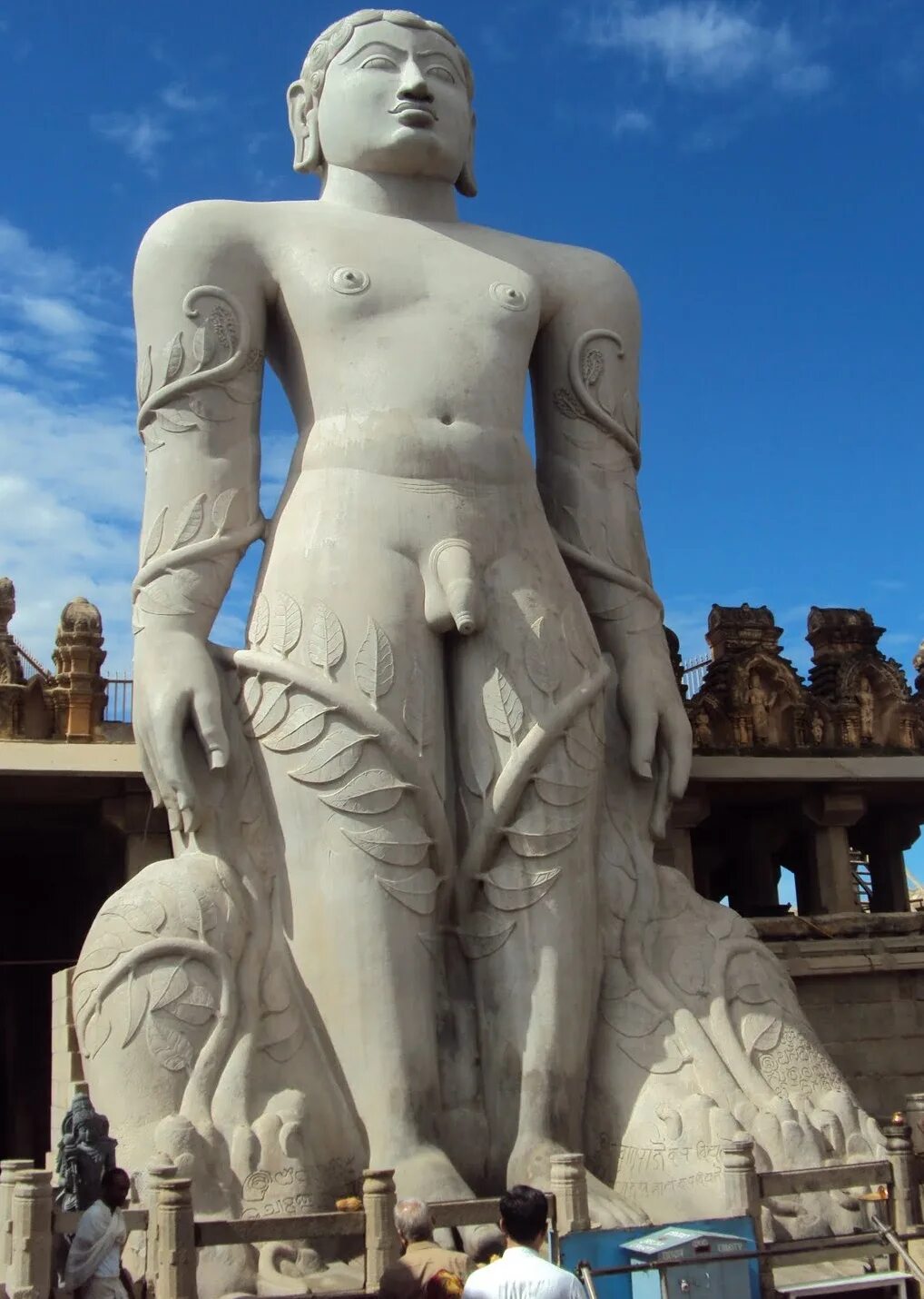 гоматешвара шраванабелагола. гоматешвара карнатака. шраванабелагола индия статуя. шраванабелагола индия статуя. карнатака индия храмы вид сверху.