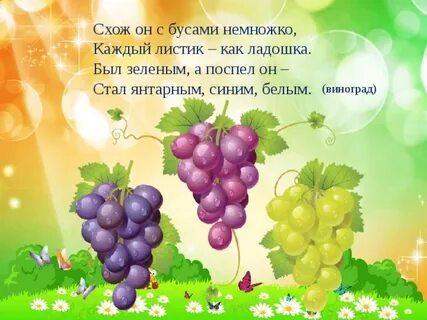 Немного всякий