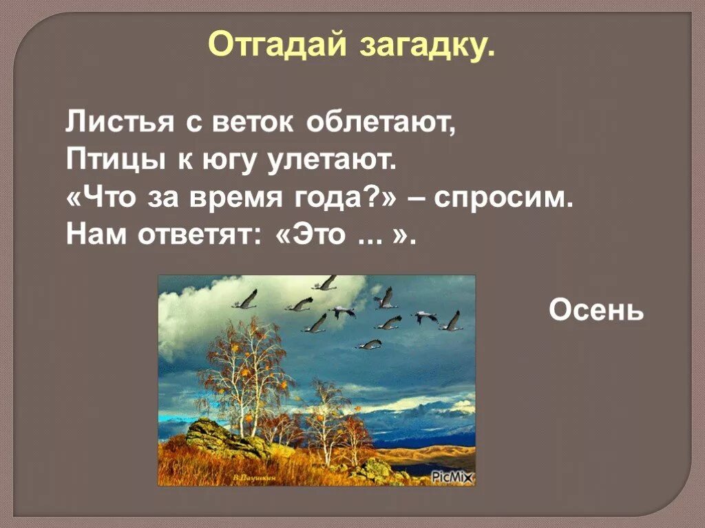 Позднее осень рассказ. Листья с веток облетают птицы к югу улетают. Рассказ поздняя осень. Поздняя осень 2 класс. Поздняя осень рассказ 2 класс.