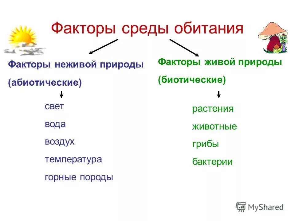 Факторы среды обитания примеры. Биотические факторы неживой природы. Схема факторов неживой природы. Факторы живой природы.