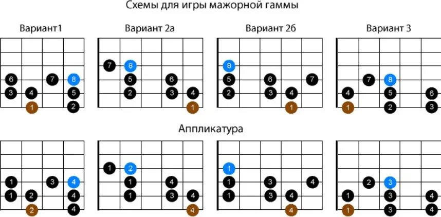 Гаммы на гитаре аппликатура. Минорная гамма на бас гитаре. Мажорная гамма на гитаре аппликатура. Гамма ля мажор на гитаре табы. Минорная гамма на гитаре аппликатура.