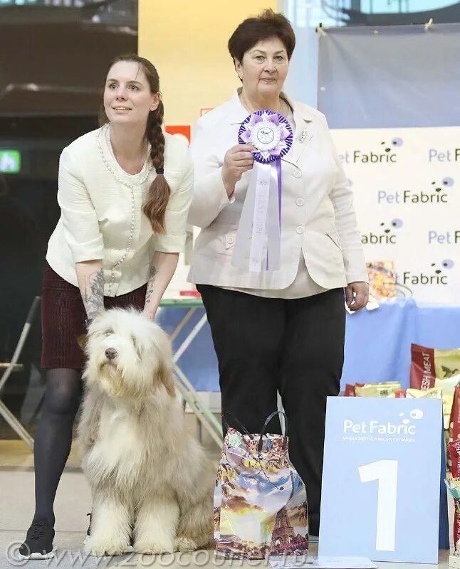 Зоокурьер выставки собак 2024 в санкт петербурге. Зоокурьер выставки собак 2024 в санкт петербурге. Экспофорум спб выставка собак. Зоокурьер выставки. Зоокурьер выставки собак 2024 в санкт петербурге.