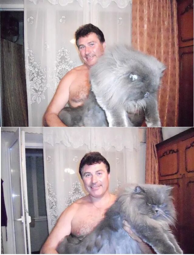 Шутка мем. Смешные картинки с надписями. Рыжий кот и туфли. Мемы с котиками. Смешные коты с надписями.