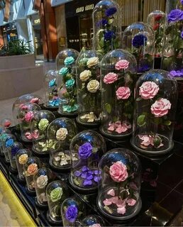 Цветы вечно говоря