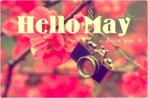 You my may