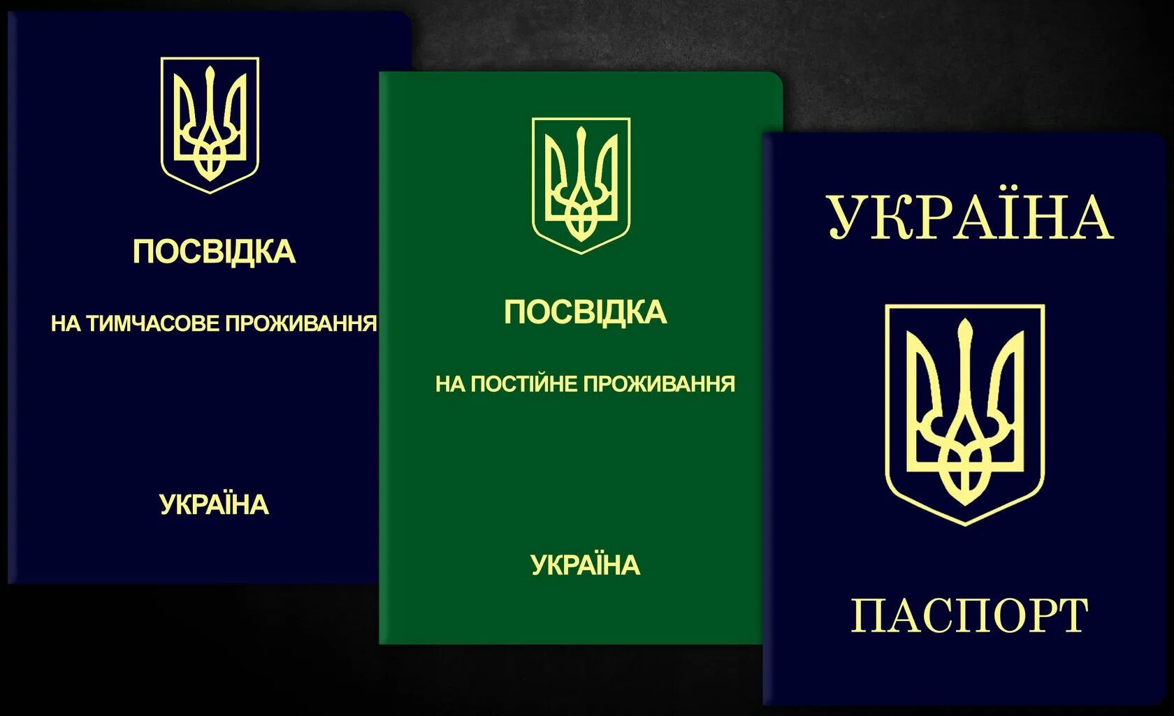 Получить вид на жительство украины. Вид на жительство Украина. Посвідка на тимчасове проживання. Вид на жительство в Украіне. Постоянный вид на жительство в Украине.