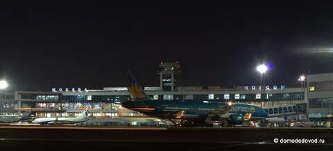 Смоленск аэропорт домодедово
