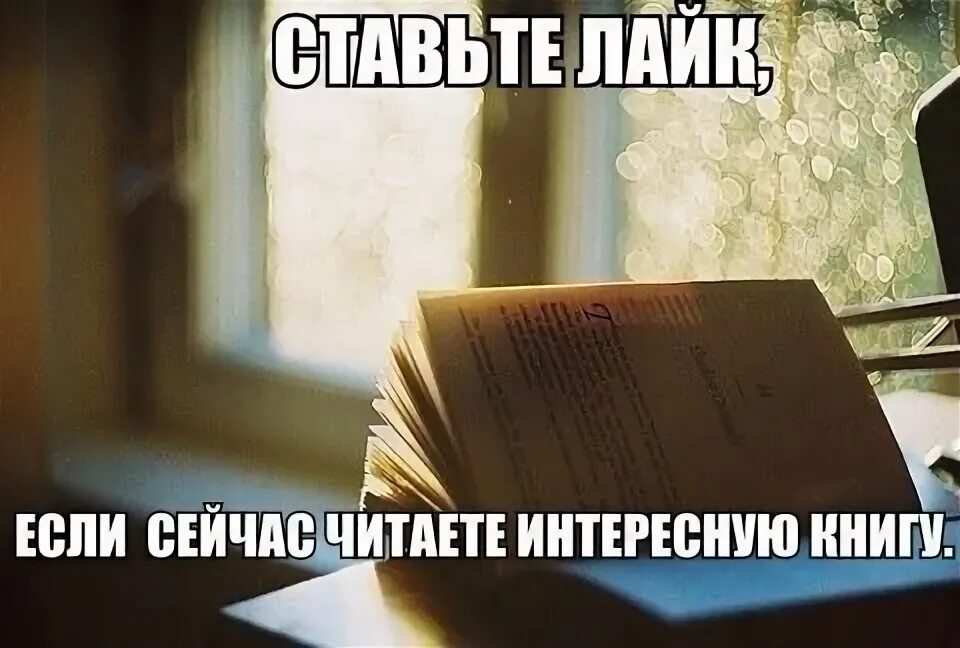 Необъяснимо но факт мем. Ой заблокировал. Мемы по книгам. Заблокируй меня. Слоупок мем.