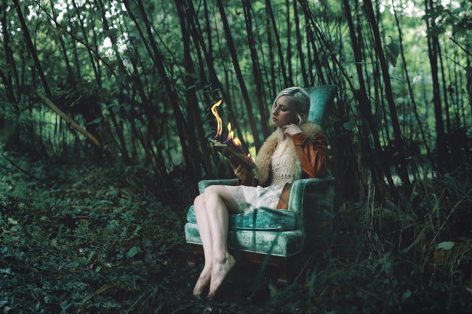 Девушка с медведем в лесу. Фотосессия в лесу с книгой. Девушка в лесу. Девочка над книгой в лесу. Девушка с книгой в лесу.