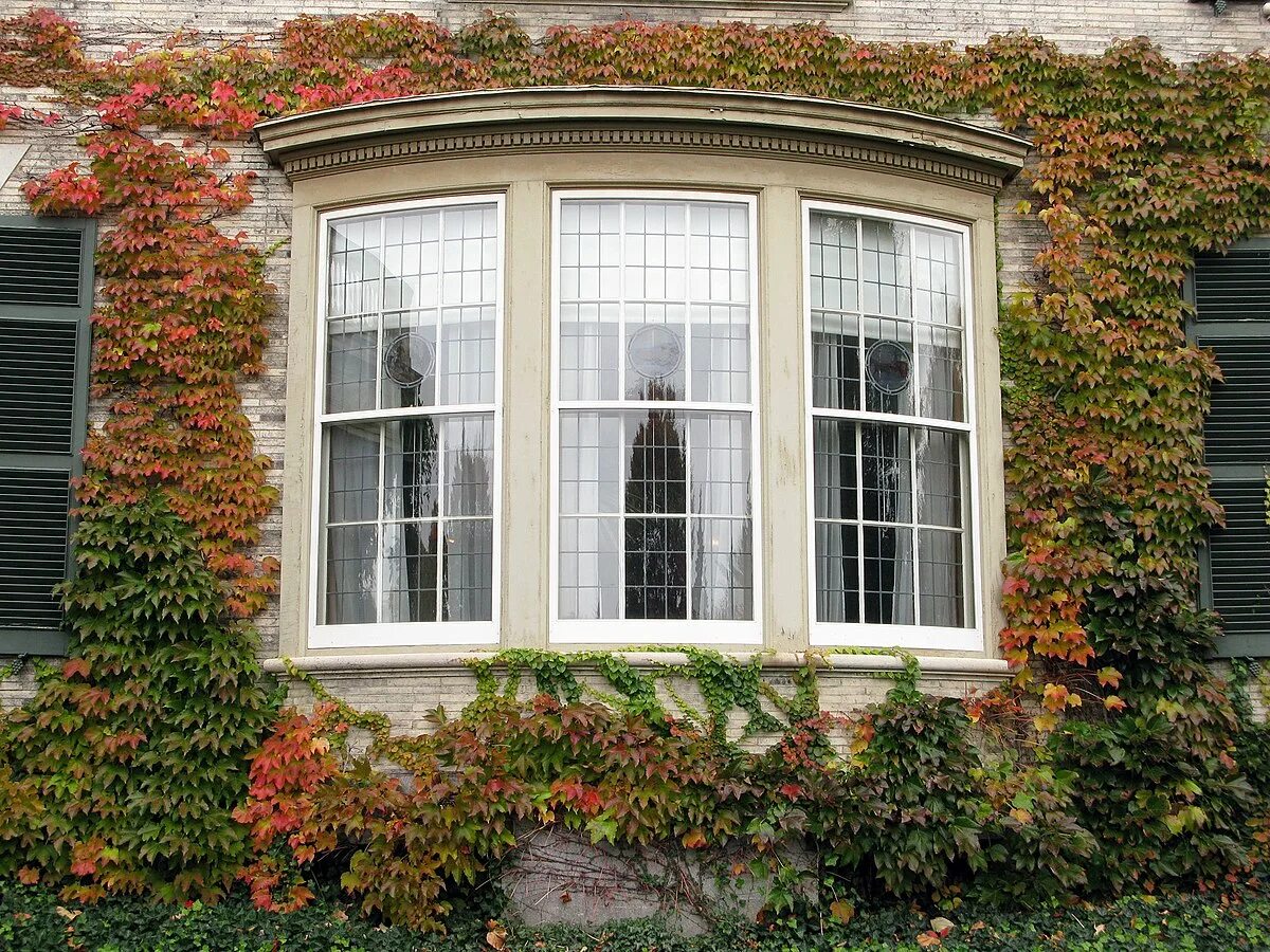 Where to find window