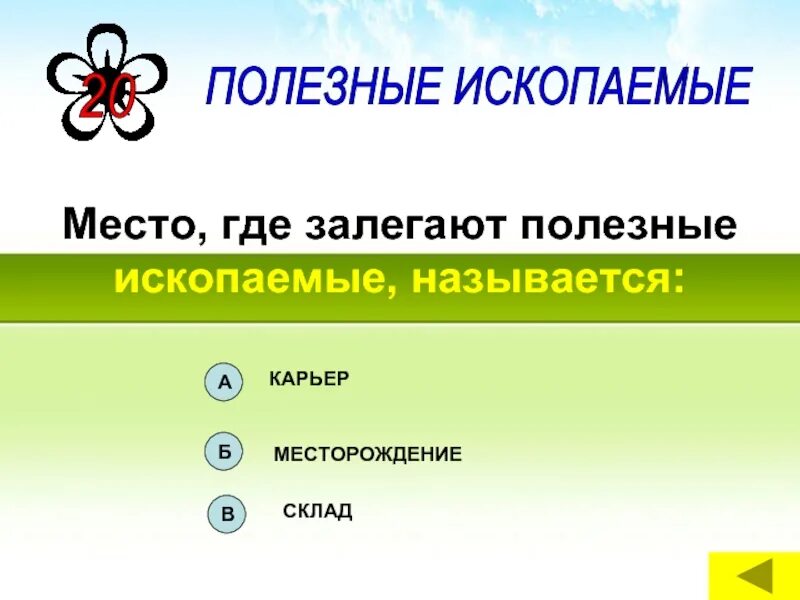 Как называется место где залегают полезные