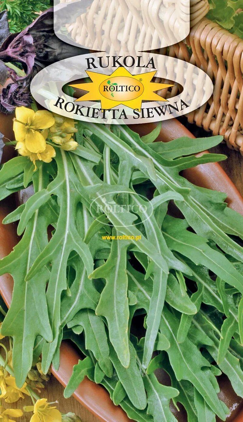 Рукола дикая. Индау рукола гурман. Рукола семена. Рукола семена. Семена рукола индау.