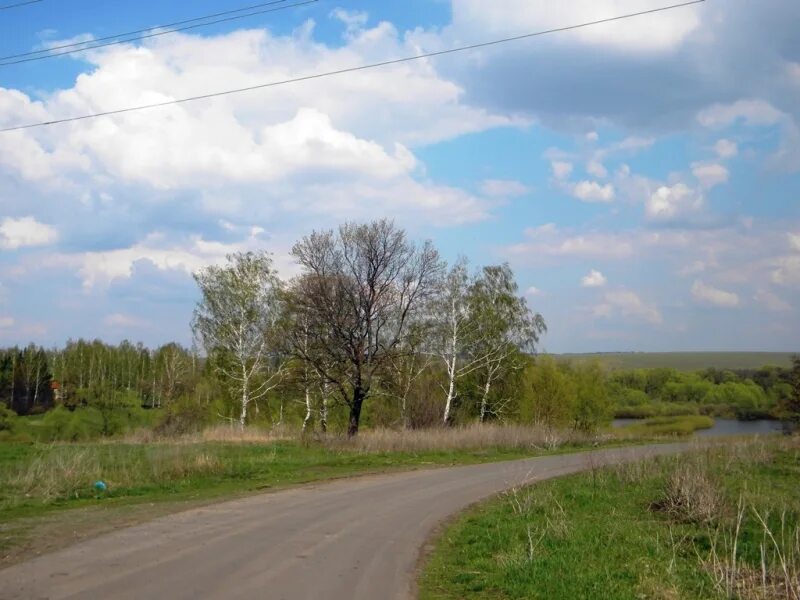 Деревня Полозовка Курская область. Виногробль Курская область. Виногробль Курский район. В Курской деревне. Погода курская область никольское