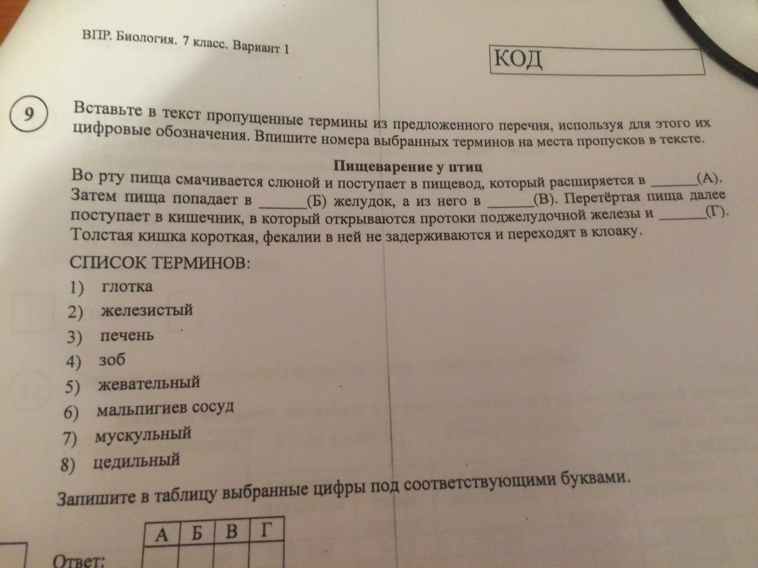 Биология 5 класс впр вариант 7 ответы. Впр биология 8 класс 2022. впр по биологии 9 класс по материалам 8 класса. впр биология понятия и термины. профессиям биологии впр ответы.