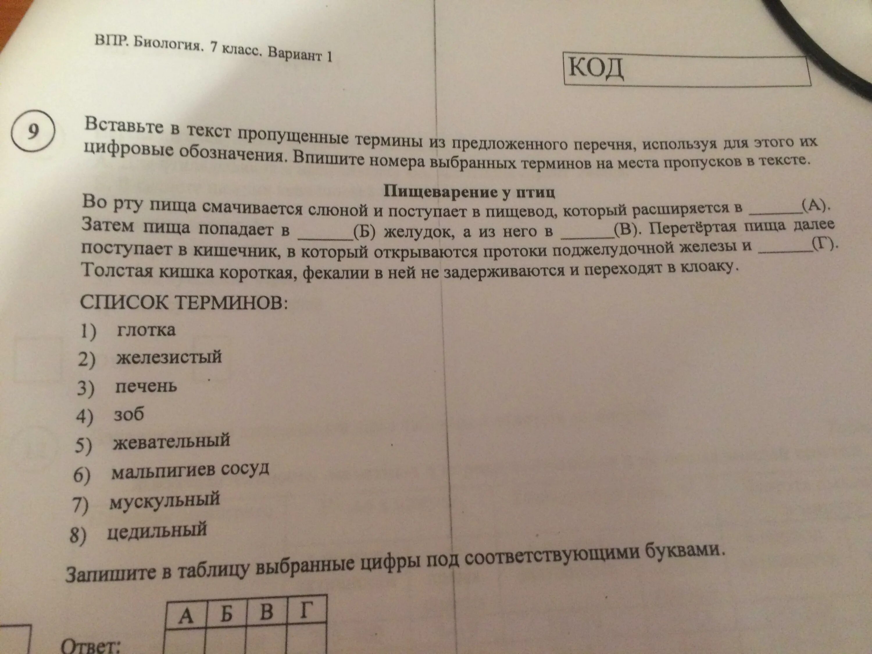 Биология впр ответы 5 класс 9 вариант. ВПР биология 8 класс 2022. ВПР по биологии 9 класс по материалам 8 класса. ВПР биология понятия и термины. Профессиям биологии ВПР ответы.