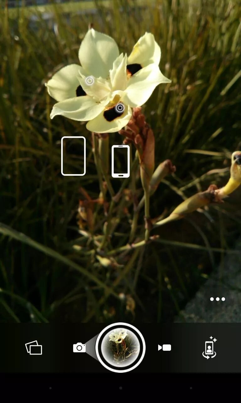 Kiss my camera apk