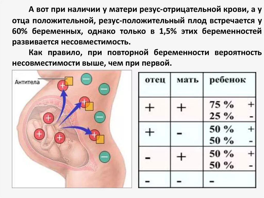 Резус-конфликт при беременности положительный у матери. Резус конфликт у мамы 1 положительная. Положительный резус фактор матери и отрицательный плода. Факторы риска резус конфликта. Резус фактор болезни