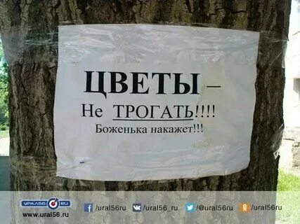Прикаснуться или прикоснуться как правильно пишется