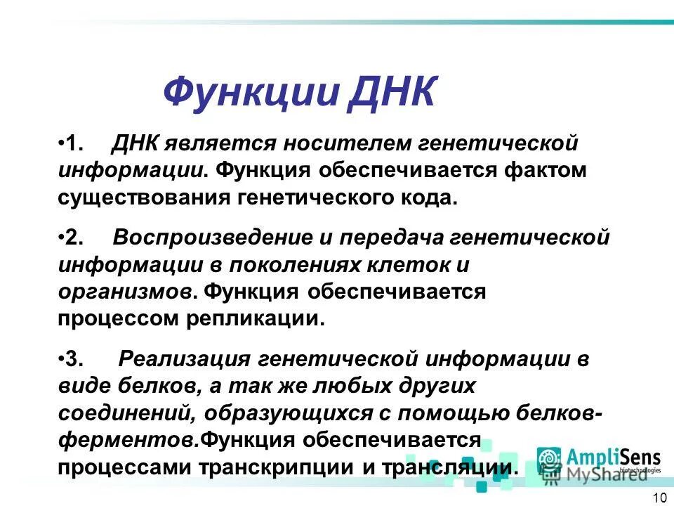 Структура свойства и функции днк. Функции днк. функции днк в клетке. основная функция днк. основные функции днк.