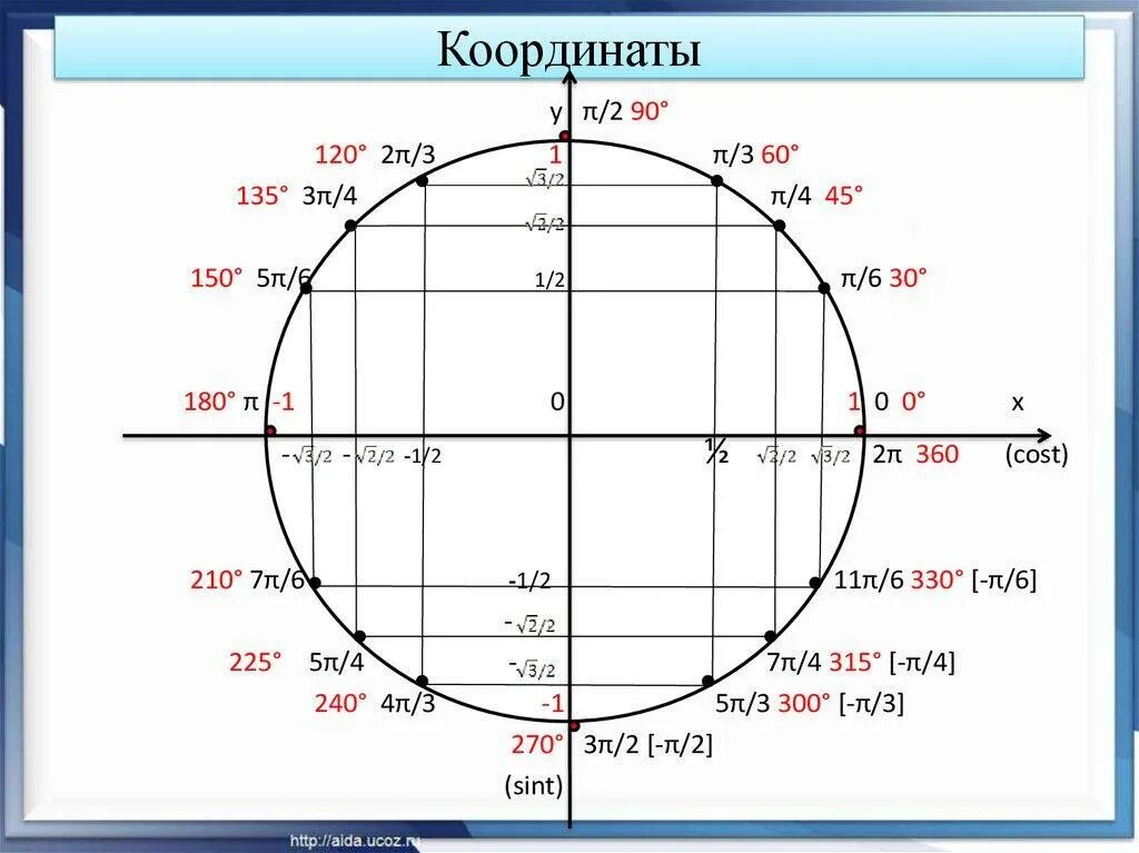 Круг значений синусов и косинусов. Значения синусов и косинусов на окружности. Таблица синусов и косинусов окружности. Таблица синусов круг.