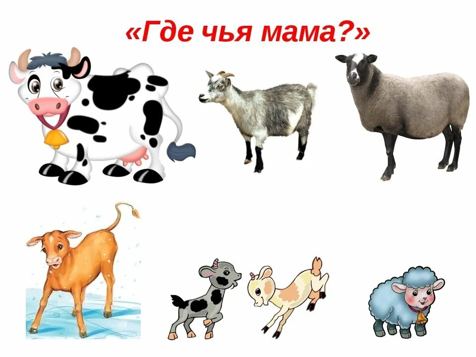 Найти детенышей животных. Домашние животные для детей. домашние животные для детей дошкольного возраста. изображения домашних животных для детей. малыши. домашние животные.