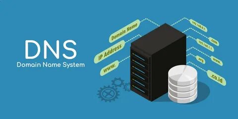 Dns перевод на русский