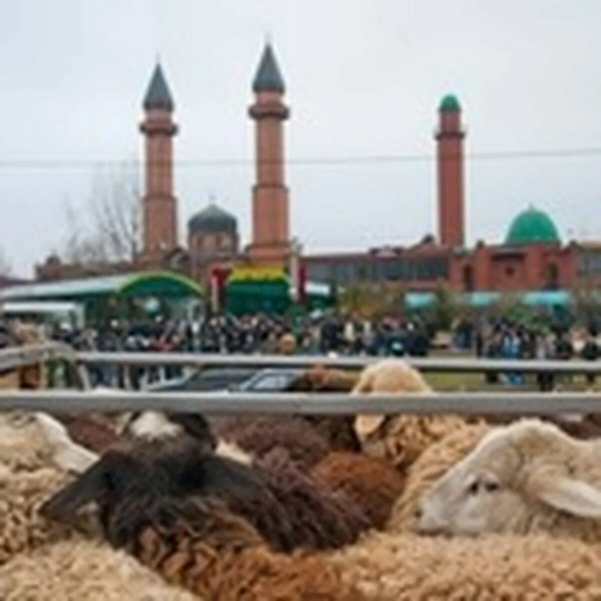 На какой праздник режут барана. Курбан байрам в Москве резали Баранов. Курбан байрам жертвоприношение. Жертвоприношение барана на Курбан. Курбан-байрам 2023 баран.