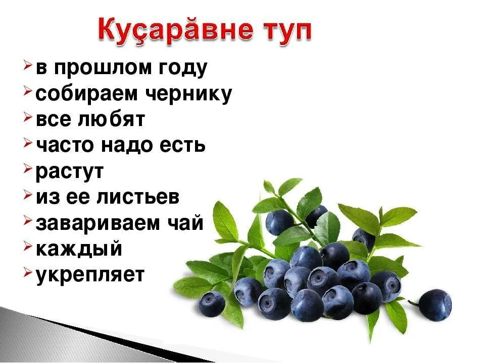Листья черники полезные свойства. Листья черники. черника польза. чем полезна черника. черника полезные свойства.