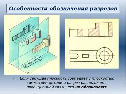 Где располагают разрезы