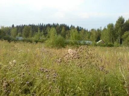 Земельный участок погашено