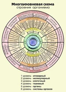 Про 12 система