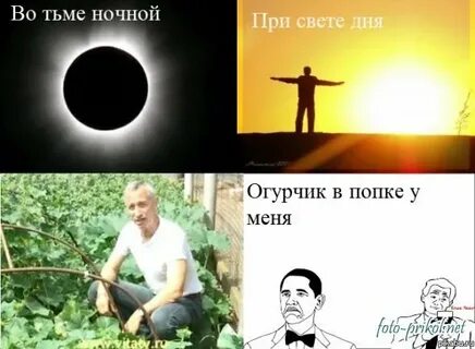 Во тьме ночной при свете дня