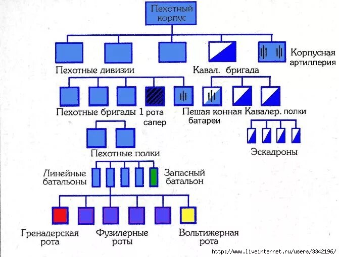 Рота состоит из 3 офицеров. Численность роты батальона полка дивизии армии России.