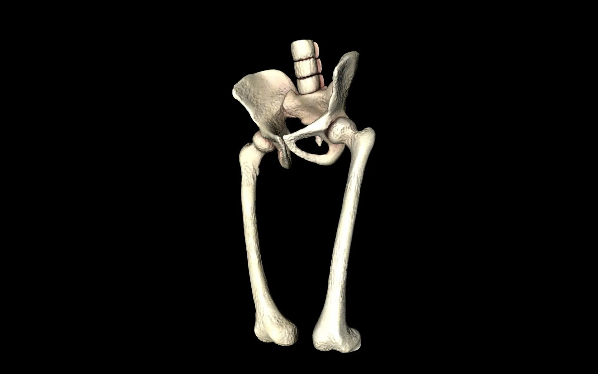 Bones animation