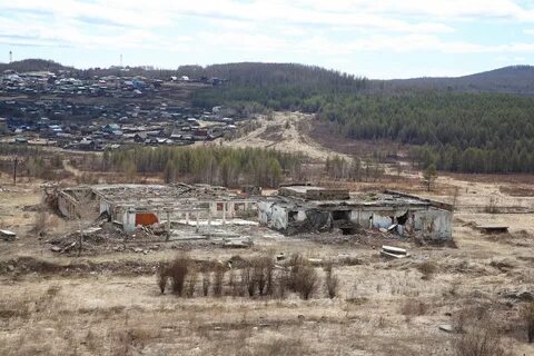 Преображенка забайкальский