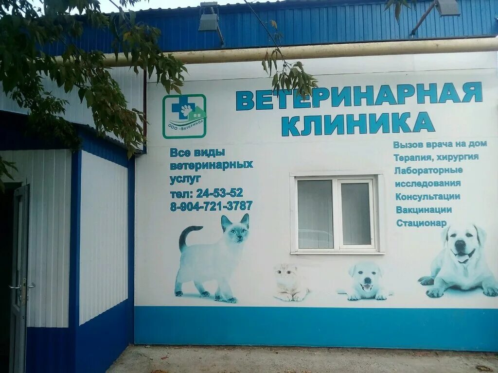 Саранск Республика ветеринарная клиника. Государственная ветеринарная клиника Саранск. Ветклиника на Васенко Саранск. Ветеринарная клиника Саранск центр. Ветеринарная саранск телефон