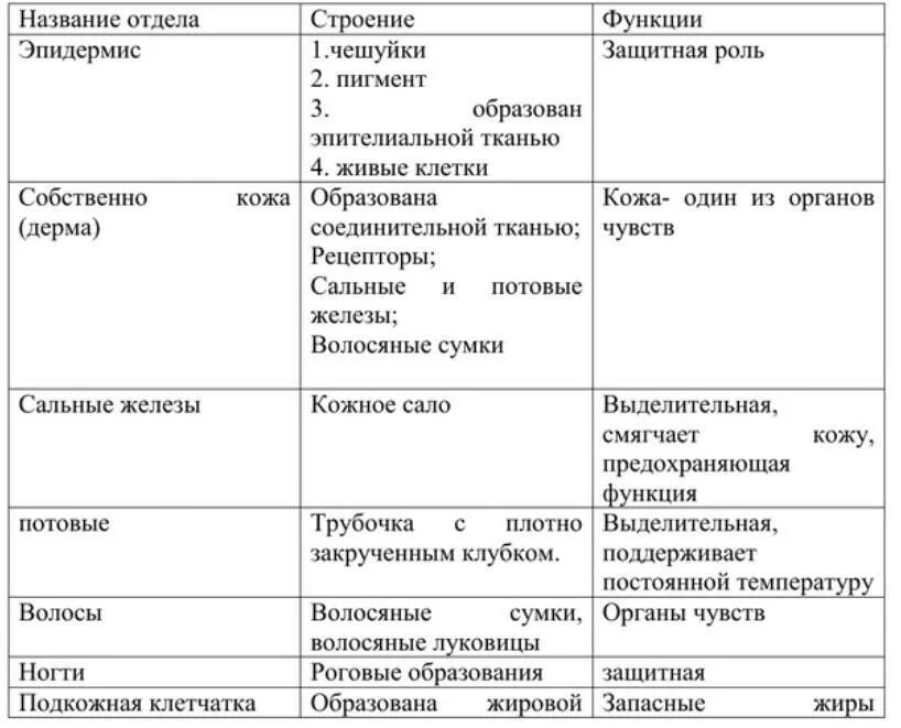 Слои кожи строение и функции таблица. Таблица по биологии 8 класс покровы тела строение и функции кожи. Таблица по строению кожи биология 8. Слой кожи строение функции таблица биология. Биология покровы тела строение и функции кожи