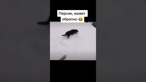 Смочь обратно