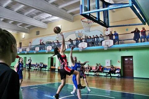 Сайт спортивной школы ростова на дону