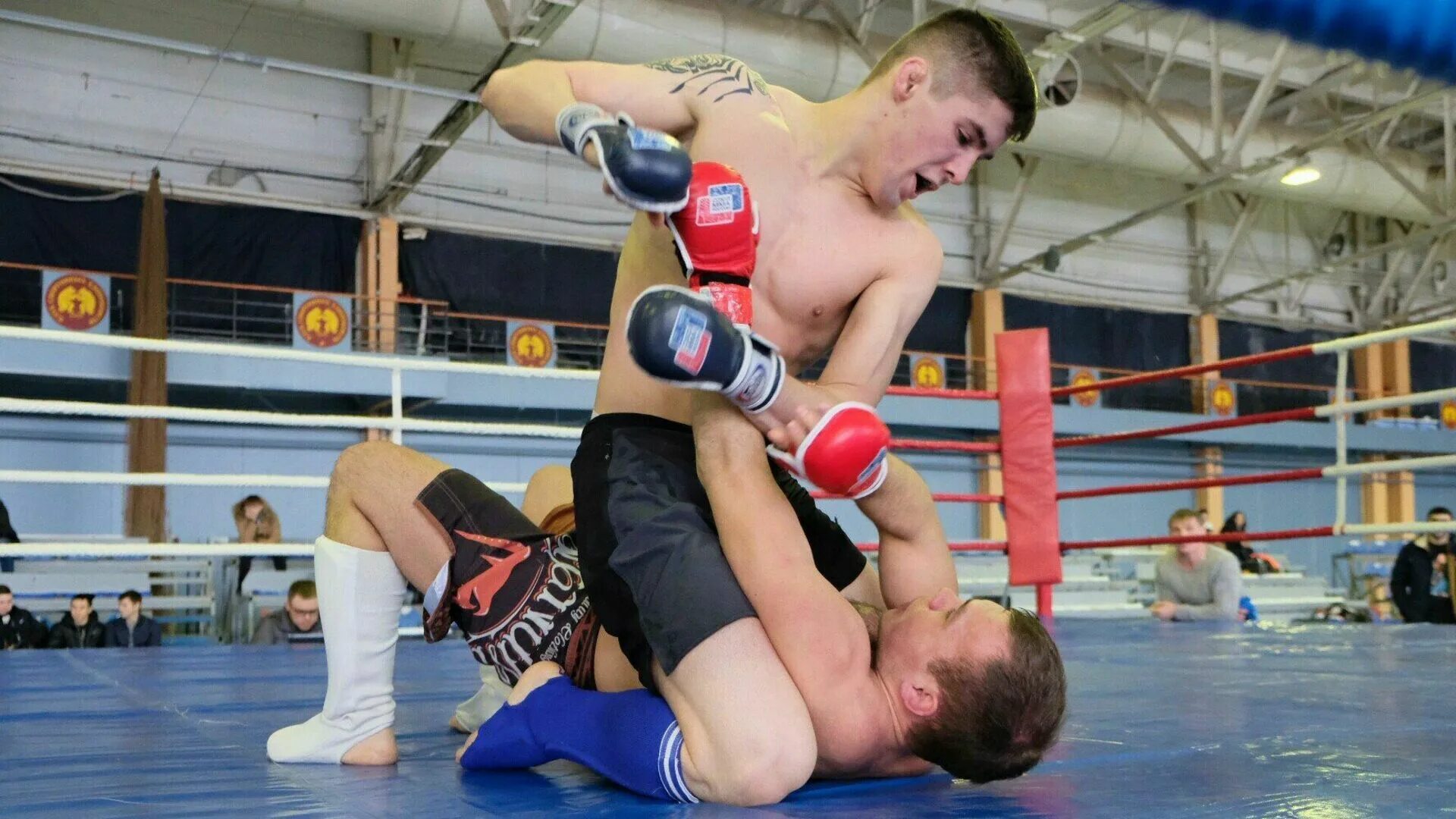 Мма пермь. Mma центр пермь. Mma центр пермь. Mma центр пермь. Мма пермь.