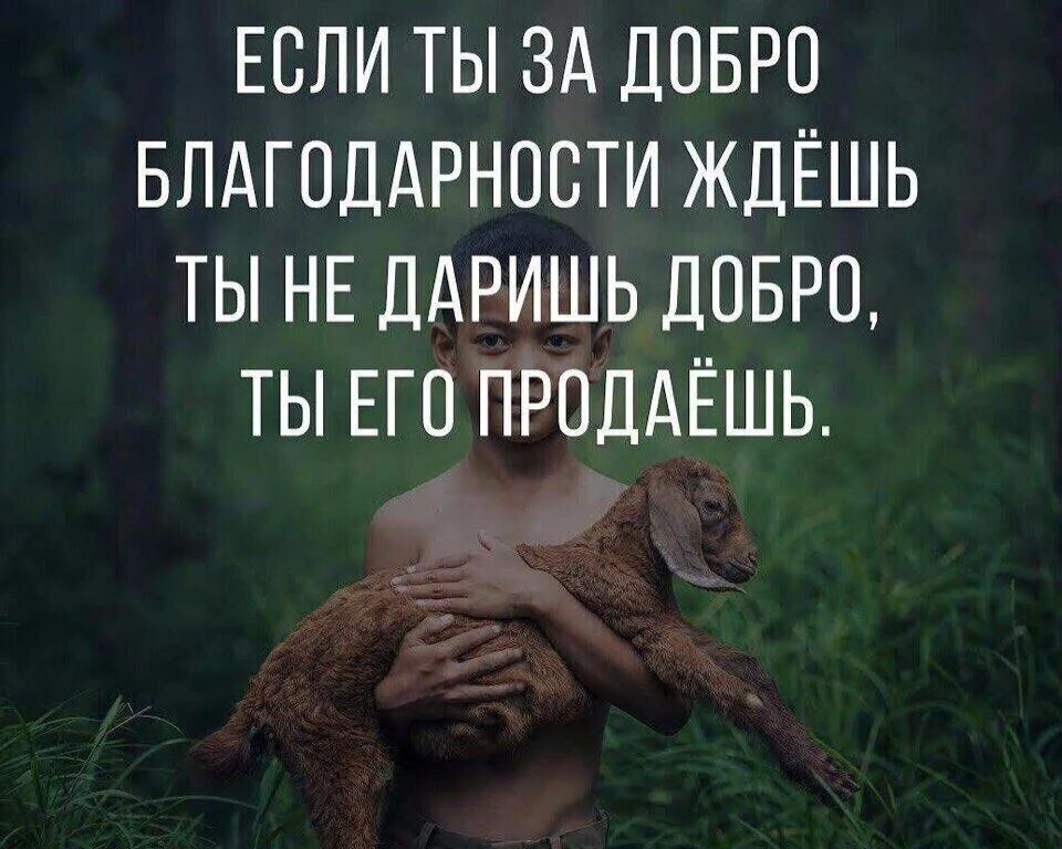 Не существует добрых хороших