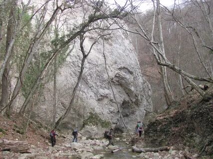 Кок асан