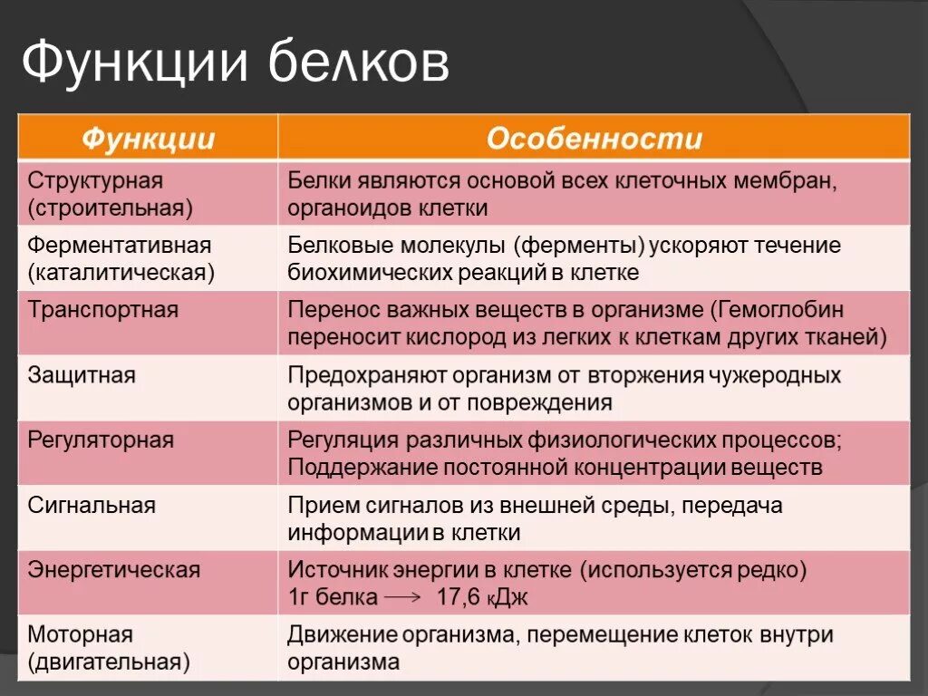 Список функций белков. Таблица функции белков 9 класс биология. Функции белков 5 класс биология. Функции белков 10 класс биология. Функции различных белков в организме.