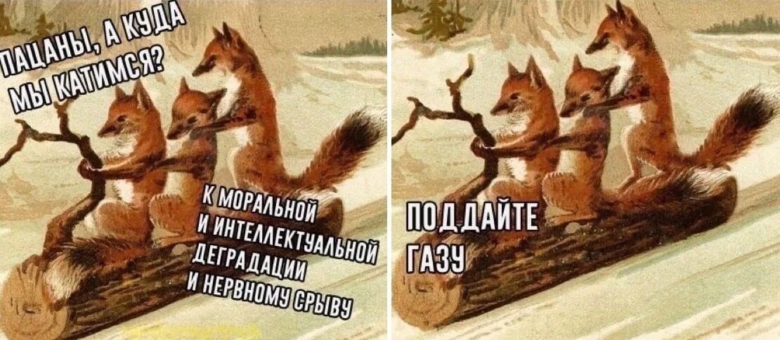 Деградация прошла. Деградировать проще цитаты. Деградация. Социальная деградация личности. Деградация прошла.