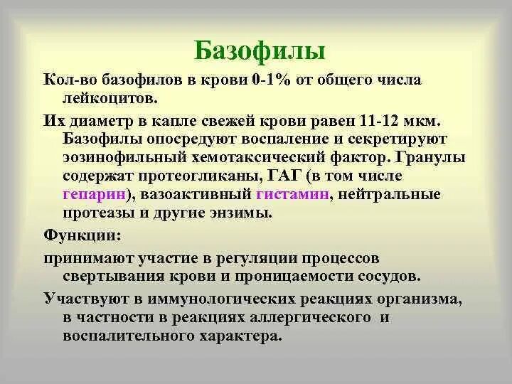 Причины повышения базофилов. Базофилы повышены у женщины. Базофилы повышены. Базофилы повышены у женщины. 1.